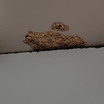 Kurulum Ekibi Ve İşçilikte Yaşanan Sorunlar