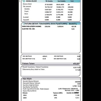 Elektrik Faturasında Anlam Verilemeyen Devlet Desteği Mesajı