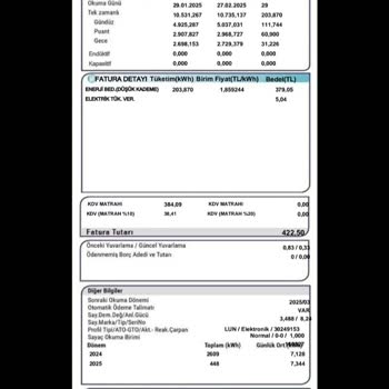 Elektrik Faturasında Anlam Verilemeyen Devlet Desteği Mesajı