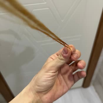 Palette Yanlış Renk Ve Güven Kaybı