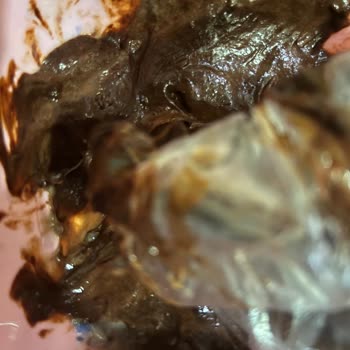 Palette Yanlış Renk Ve Güven Kaybı