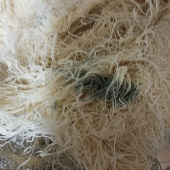 Küflü Kadayıf Şoku: Bayram Günü Mağduriyeti