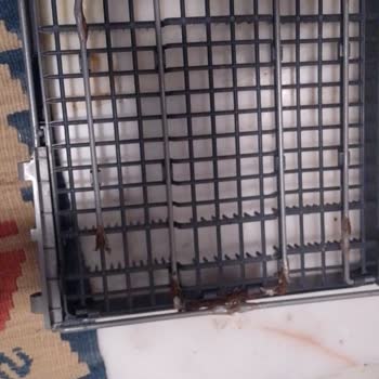 Arçelik Bulaşık Makinesi Sepetleri Paslanma Sorunu Ve Yetersiz Müşteri Hizmeti