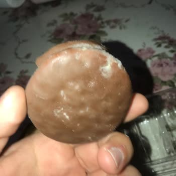 Küflü Sandviç Bisküvi İle Sağlık Riski