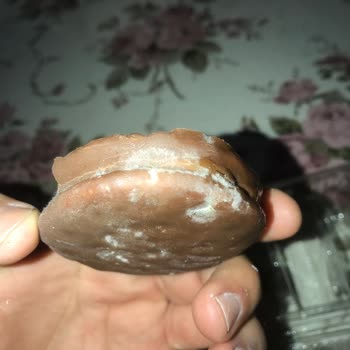 Küflü Sandviç Bisküvi İle Sağlık Riski