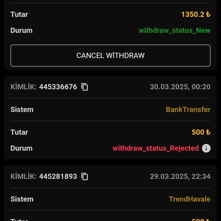 Paribu'da Para Ödeme Sorunu Ve Site Güvenliği