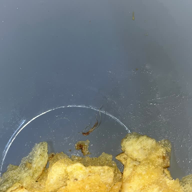 Lays Cips Paketinden Çekirge Çıkması