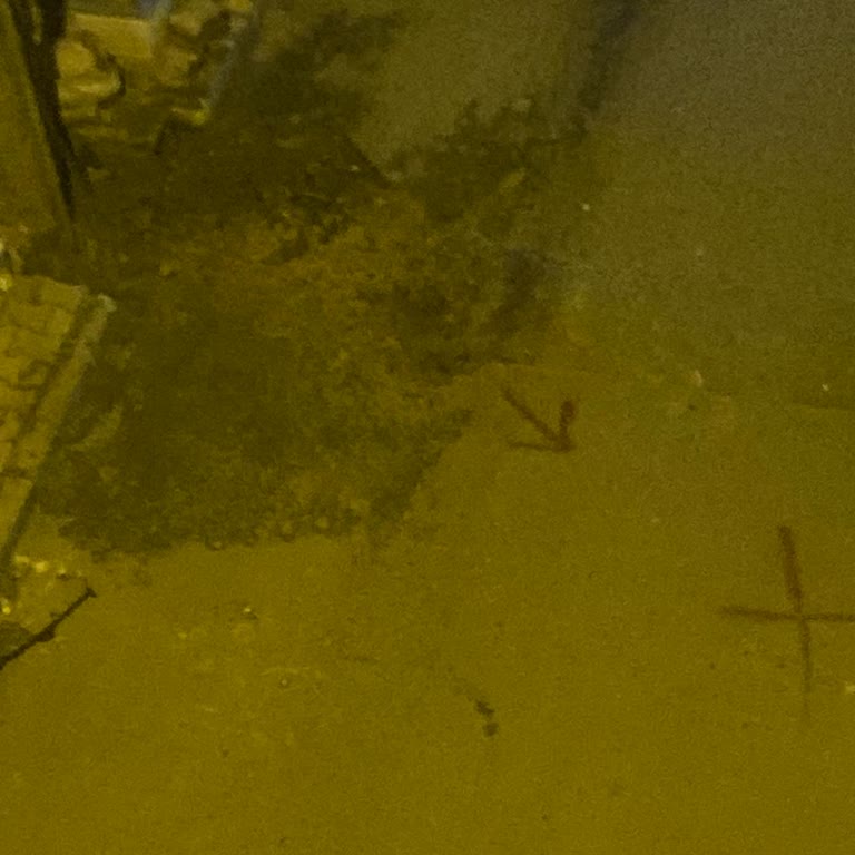 Bayram Günü Elektrik Çilesi: Anlayış Ve Çözüm Bekliyoruz!