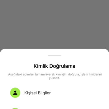 Parolapara Hesabına Erişemiyorum Ve Destek Alamıyorum