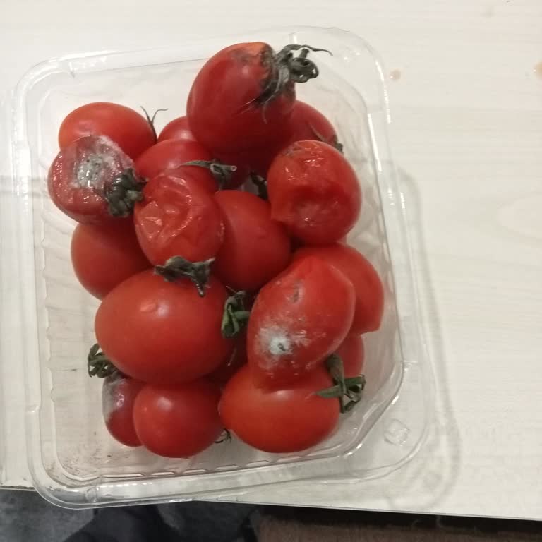 Küflü Ve Eksik Ürünler: Sipariş Sorunu