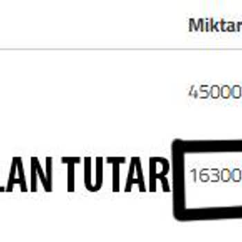 Pulibet'te Kazanç Çekim Sorunu Ve Müşteri Hizmetleri İlgisizliği