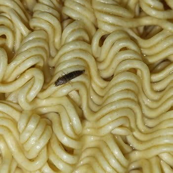 Noodle Paketinde Böcek Şoku