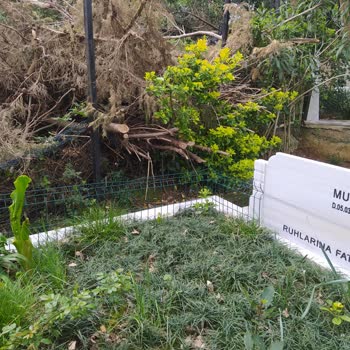 Yeniköy Mezarlığı'nda Çöp Sorunu Ve Güvenlik Eksikliği