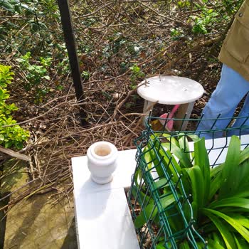 Yeniköy Mezarlığı'nda Çöp Sorunu Ve Güvenlik Eksikliği