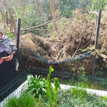 Yeniköy Mezarlığı'nda Çöp Sorunu Ve Güvenlik Eksikliği