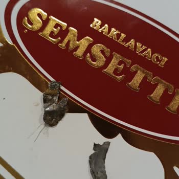 Baklavada Tehlikeli Yabancı Maddeler