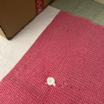 Domestos Ambalaj Sorunu: Halım Delindi, Müşteri Hizmetleri Yanıt Vermiyor