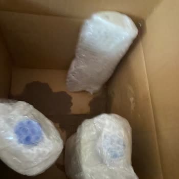 Domestos Ambalaj Sorunu: Halım Delindi, Müşteri Hizmetleri Yanıt Vermiyor