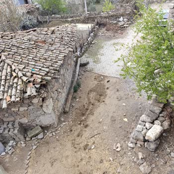 Manisa Büyükşehir Belediyesi Mahallede Hayvan Kokusu Ve Yol İşgali Sorunu