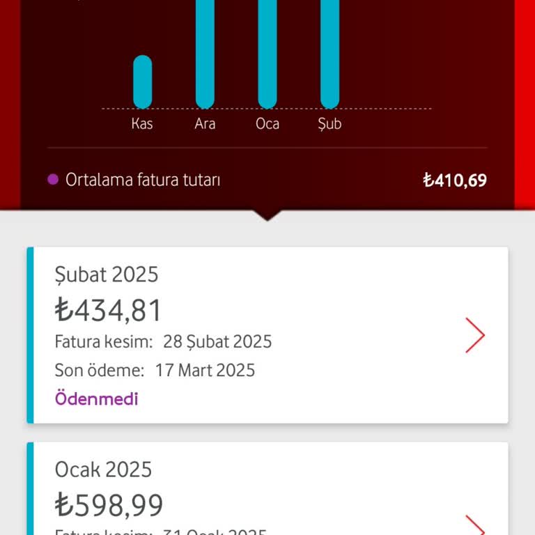 İki Aydır İnternet Sorunu Çözülmüyor!