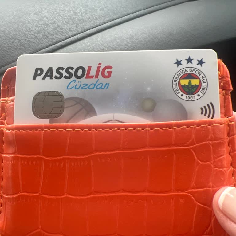 Passolig Numaramı Değiştiremiyorum, Erişim Sorunu Yaşıyorum
