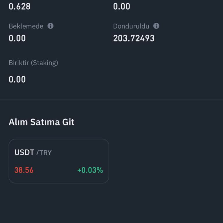 Binance TR'de Bloke Edilen Para Ve Ulaşılamayan Destek