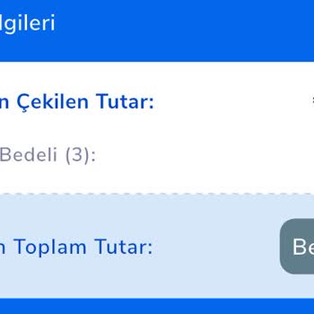 Erken Rezervasyon Fiyaskosu: Araçsız Kalan Müşteri