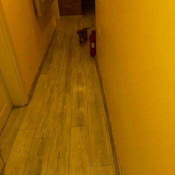 Castle Nolana Hotel & Horse Club Hijyen Sorunları Ve Ücret İadesi Problemi!