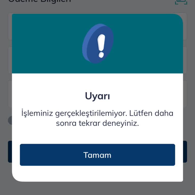 Ödeme Sorunları Ve Erişim Engelleri