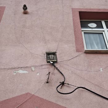 Acil Altyapı Sorunu Ve Destek Eksikliği