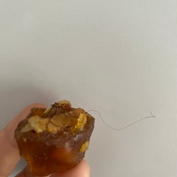 Hijyen Sorunu: Üründen Çıkan Kıl