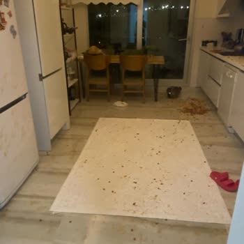 Taç Mutfak Patlayan Düdüklü Tencere Tehlikesi!