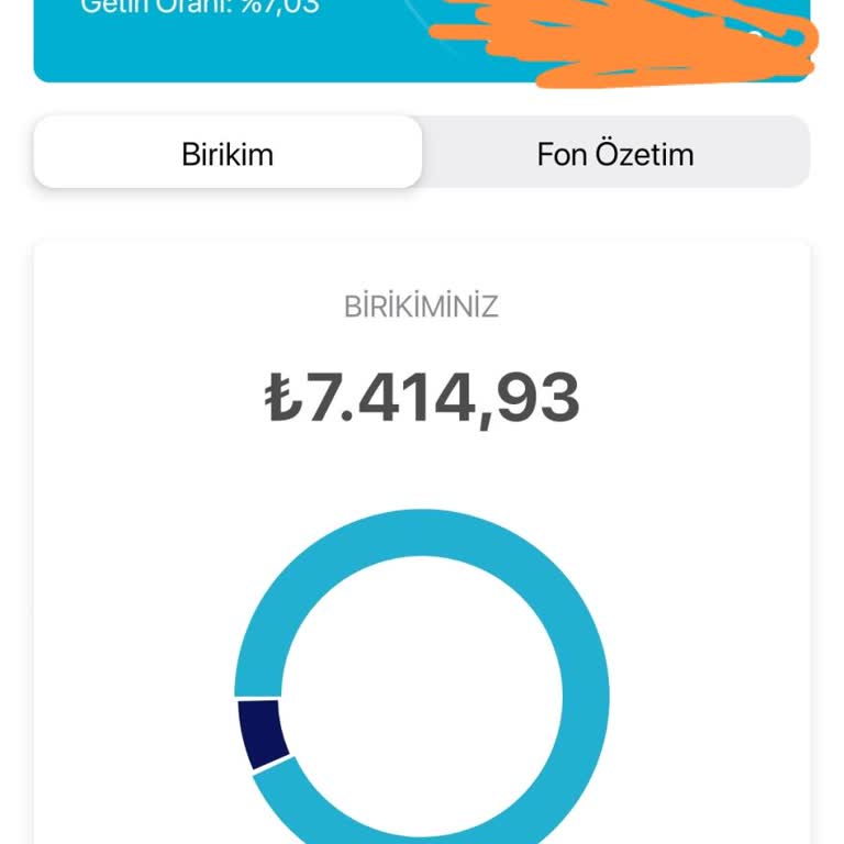 Devlet Katkısı Görüntüleme Sorunu Ve Müşteri Hizmetlerine Erişim Zorluğu