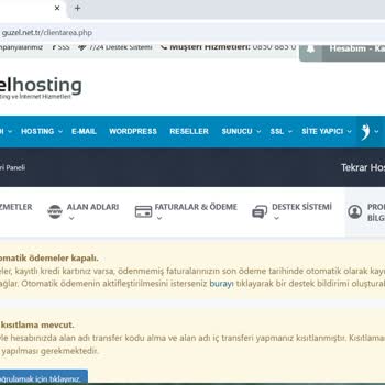 Ansızın Askıya Alınan Hizmetle Proje Kaybı