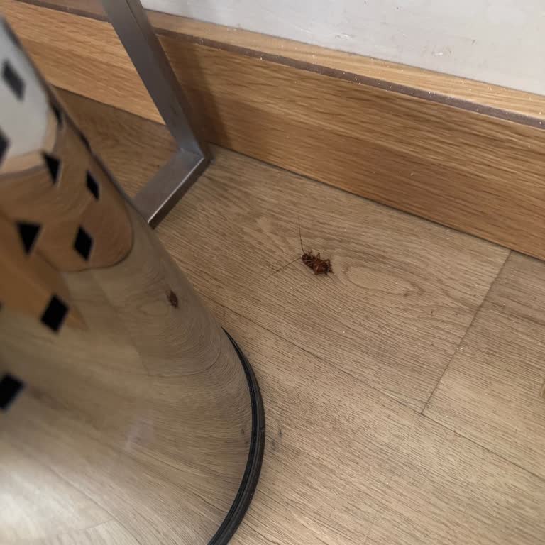 Salamis Bay Conti Resort Hotel Kıbrıs Tatilinde Beklenmedik Hayal Kırıklığı