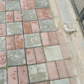 Sipariş Skandalı: Kurye Yemek Yedi Ve Çöp Bıraktı