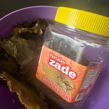 Paramparça Asma Yaprakları Hayal Kırıklığı Yarattı