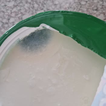 Laktozsuz Yoğurtta Küflenme Sorunu