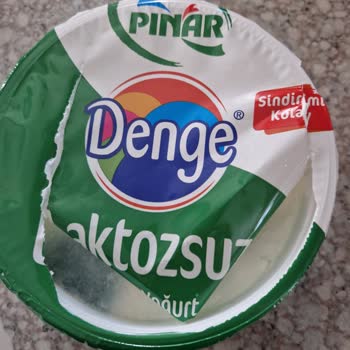 Laktozsuz Yoğurtta Küflenme Sorunu