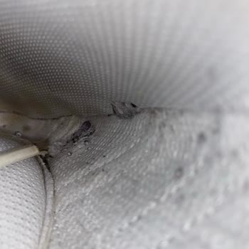 SuperStep Ayakkabıda İç Kısım Erozyonu Ve Red Kararları