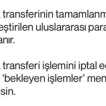 Uluslararası Para Transferinde Büyük Sorunlar