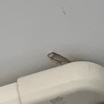 Merve Yapı İnşaat & Mühendislik Ünye Kötü İşçilik