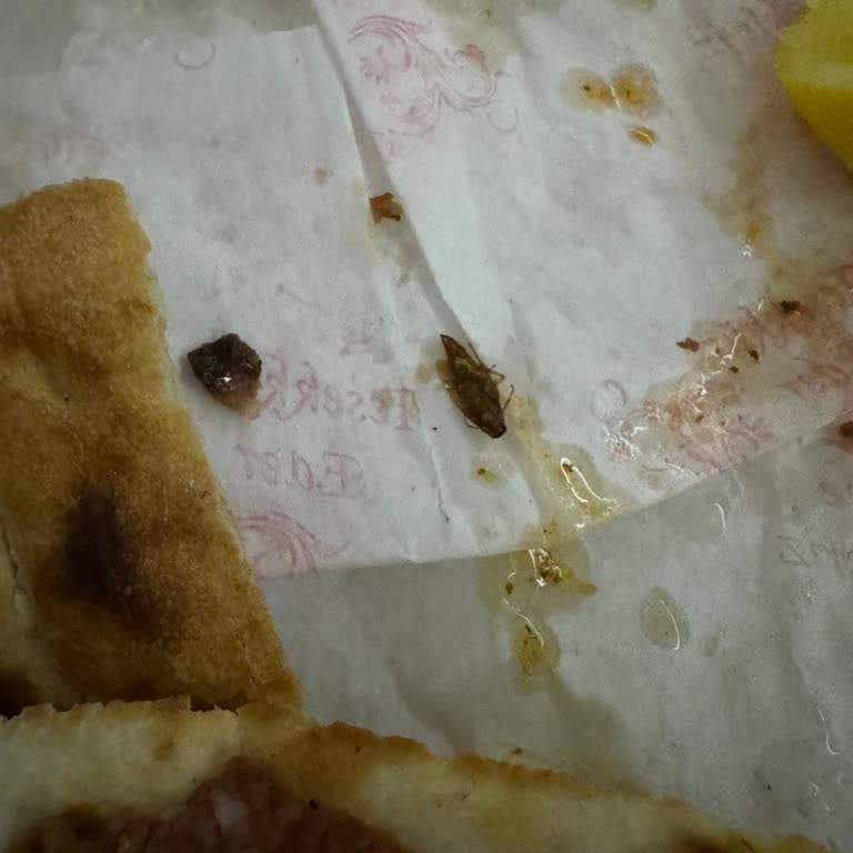 Trendyol'dan Gelen Böcekli Sipariş Şoku