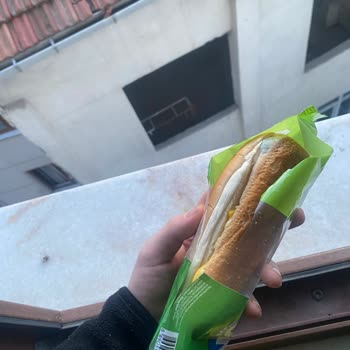 Küflü Sandviç Şoku