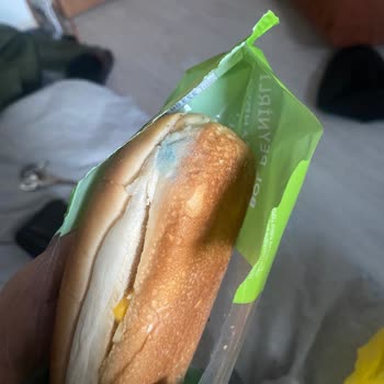 Küflü Sandviç Şoku