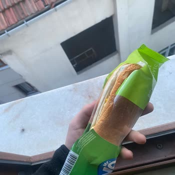 Küflü Sandviç Şoku