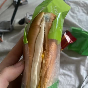 Küflü Sandviç Şoku