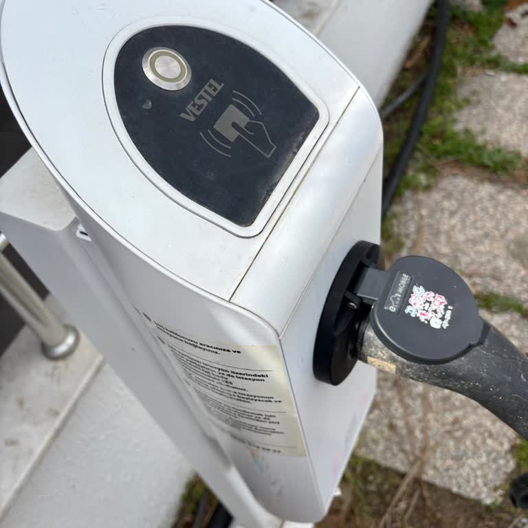 ZES Şarj İstasyonları Büyük Sorunlar