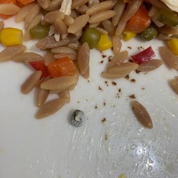 Garnitür İçinden Çıkan Salyangoz: Sağlığımızla Oynuyorlar!