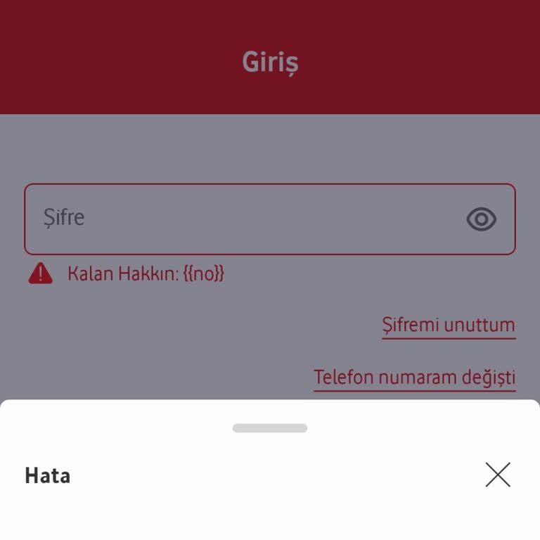 Vodafone Pay Giriş Sorunu: Hesaba Erişim Sağlanamıyor